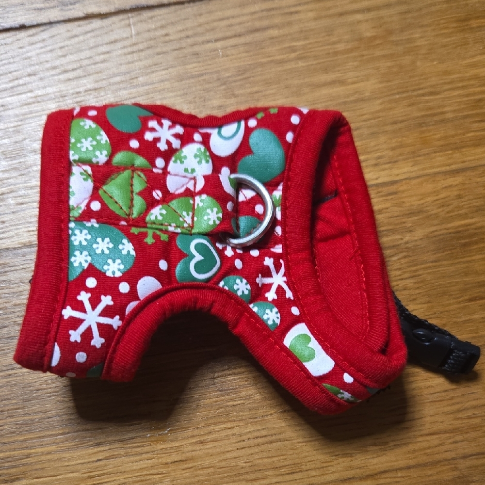 Red and Green Small Pet Carrier with Festive Design